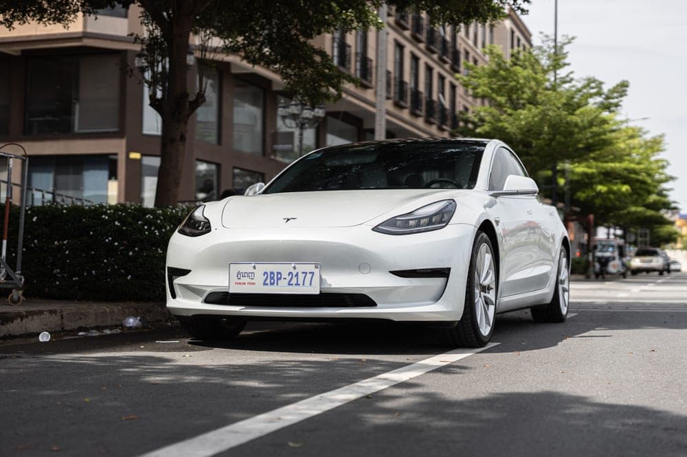 A white Tesla electric car parked on a tree-lined street